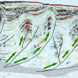 seismic_line_avo seismic_line_avo